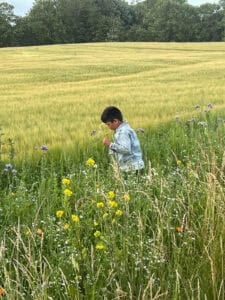 Barn går gennem blomstereng og kigger på vilde blomster ved mark.